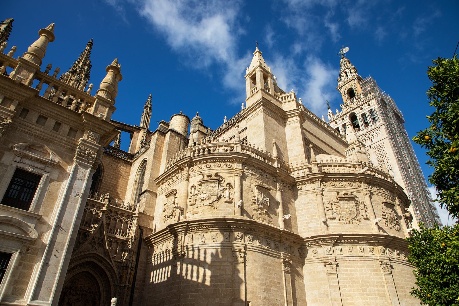 Portafolio Fotográfico Profesional