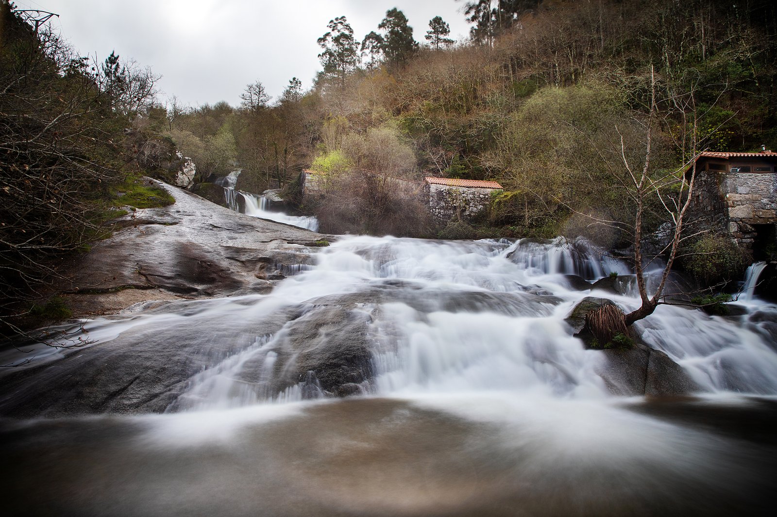 Portafolio Fotográfico Profesional