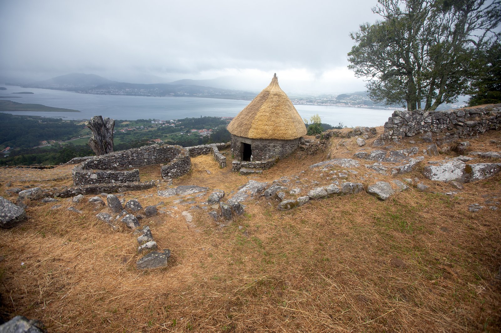 Portafolio Fotográfico Profesional