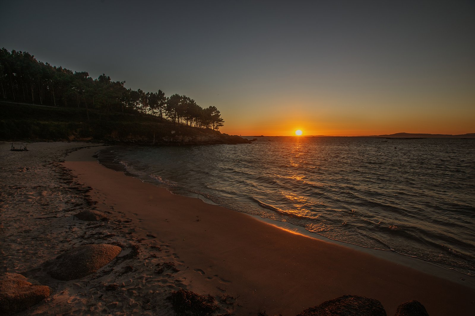 Portafolio Fotográfico Profesional