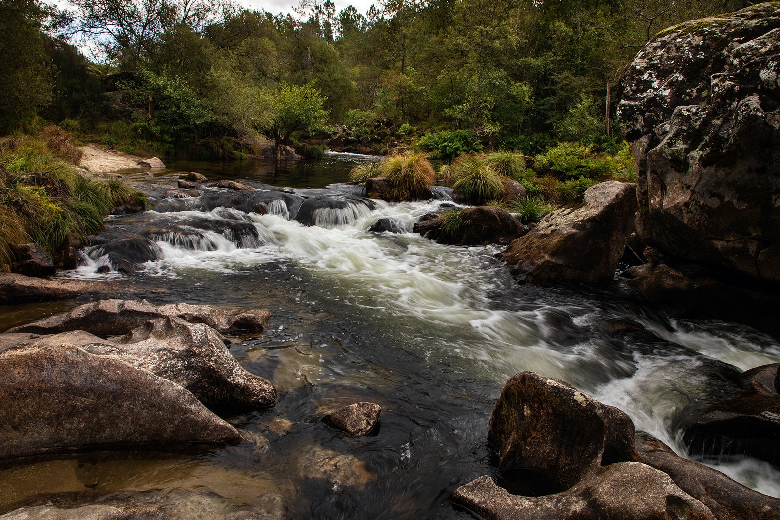 Portafolio Fotográfico Profesional