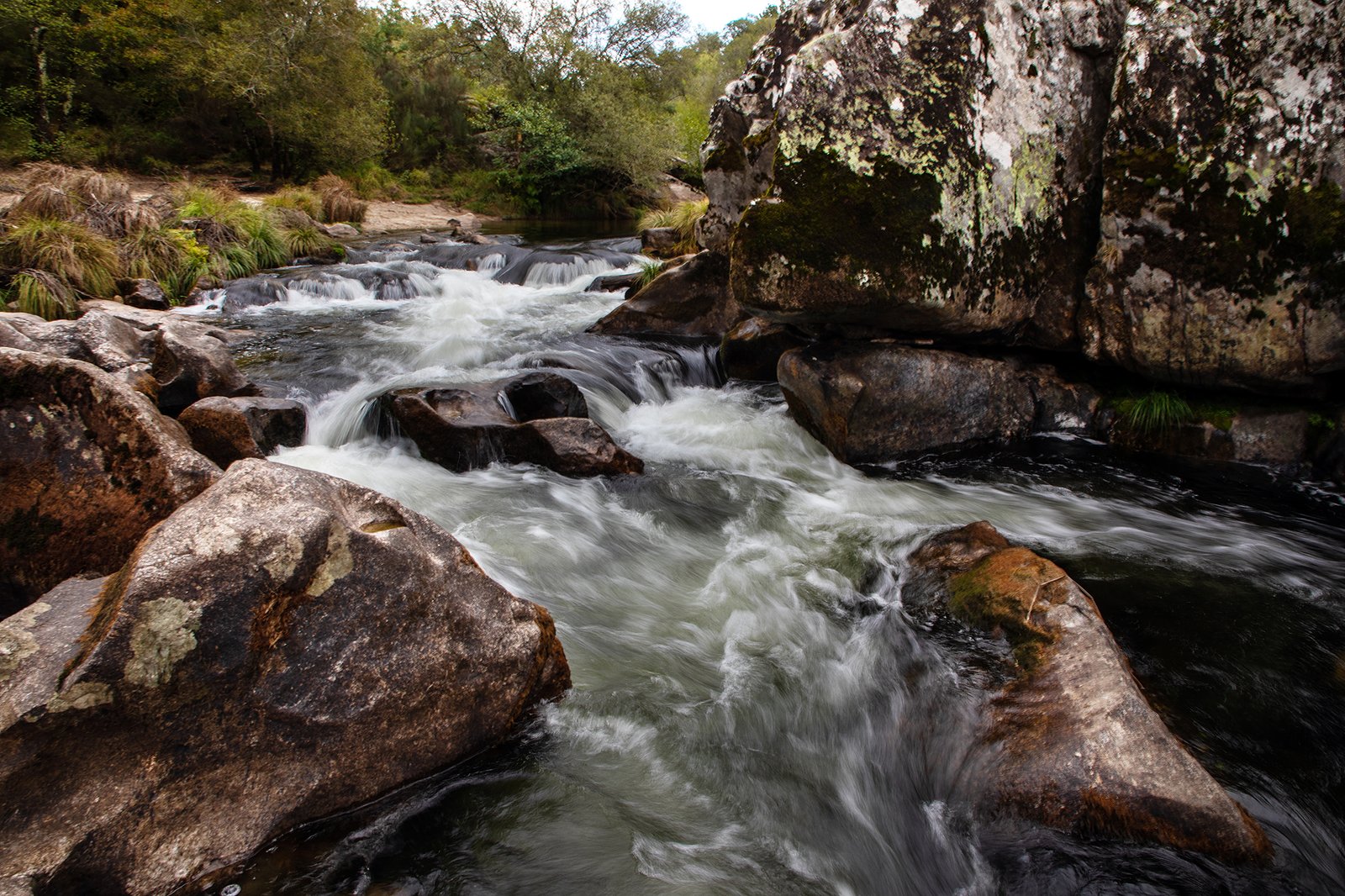Portafolio Fotográfico Profesional