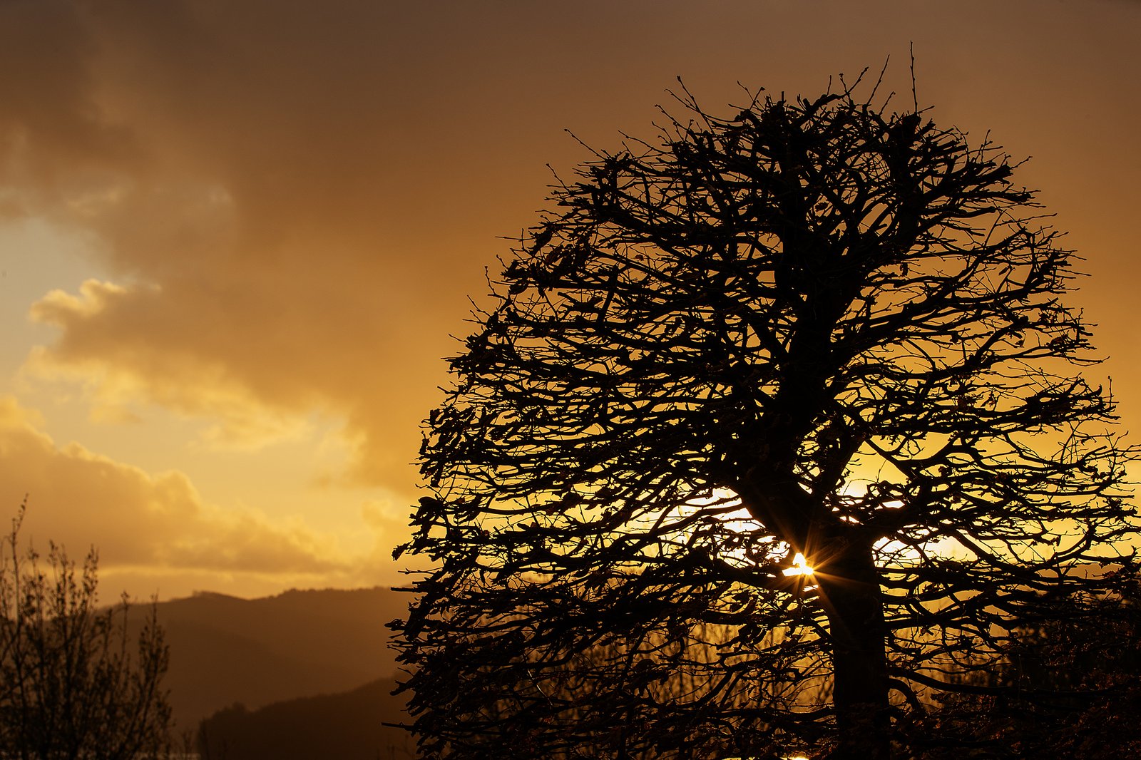 Portafolio Fotográfico Profesional