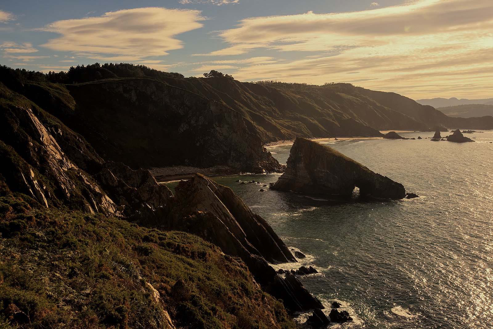 Portafolio Fotográfico Profesional