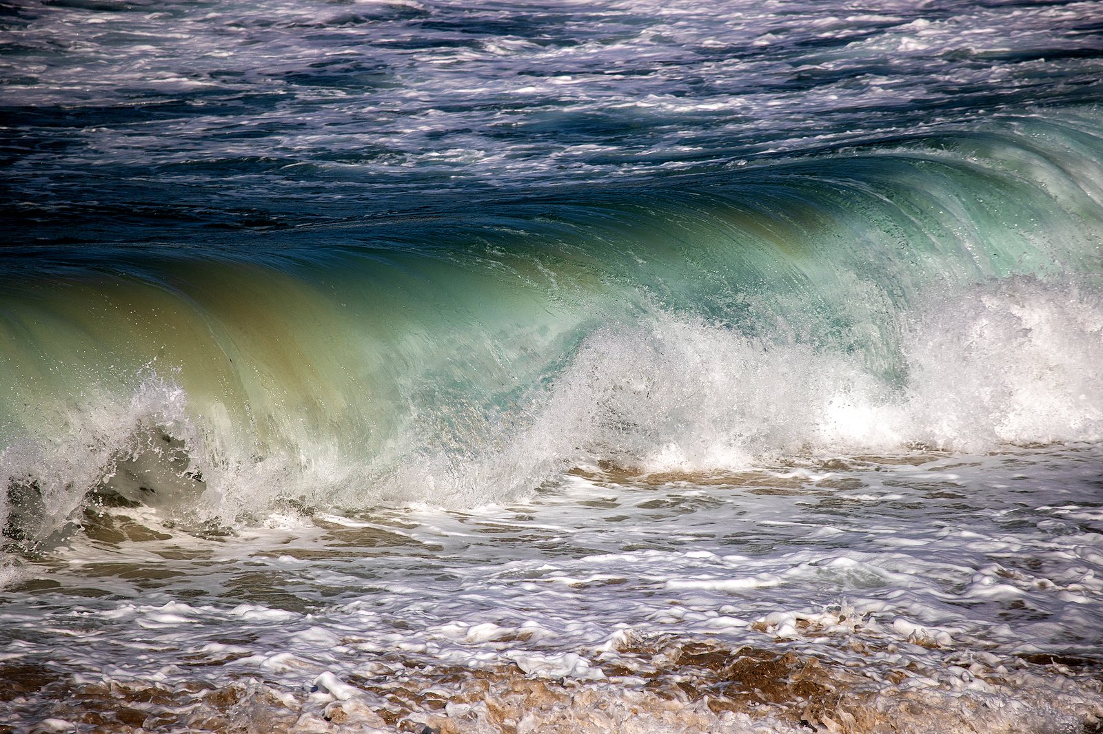 Portafolio Fotográfico Profesional