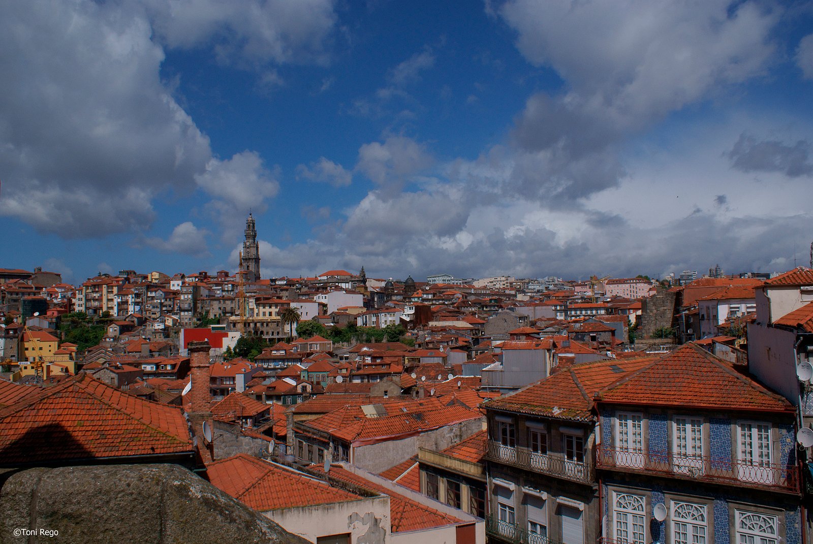 Portafolio Fotográfico Profesional