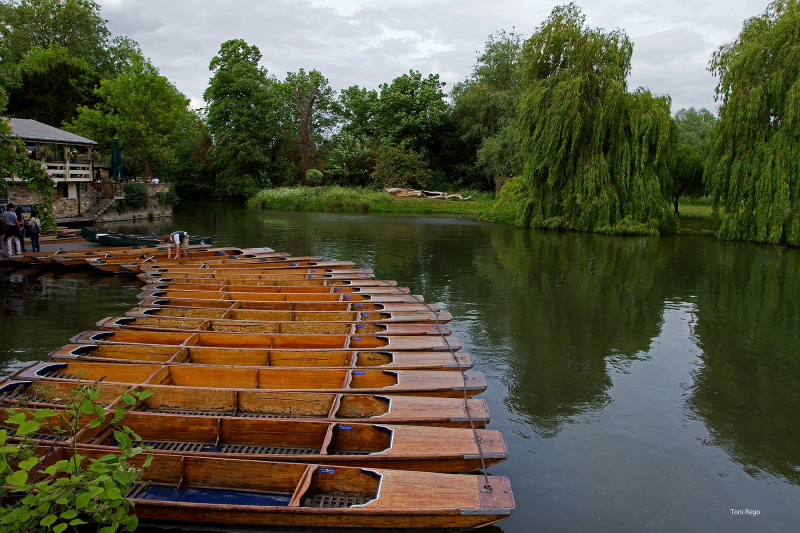 Portafolio Fotográfico Profesional